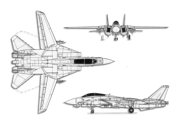 Grumman F-14 Tomcat.